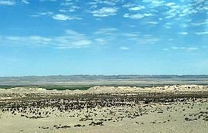 KUNMING- DUNHUANG VOYAGE D ETUDES ORGANISE (50)